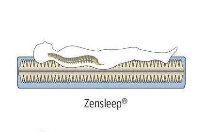 Profine Wassermatratze 160x200cm Zen Sleep Premium